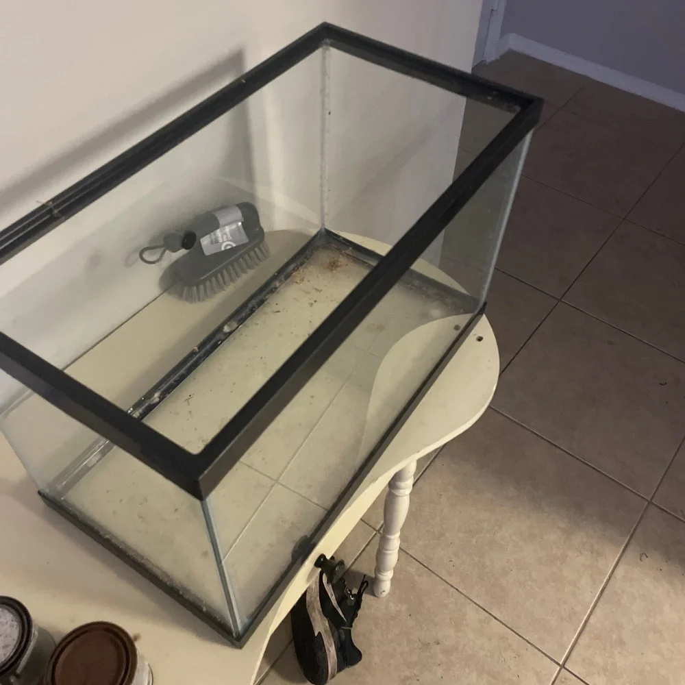 Fish Tank $50
